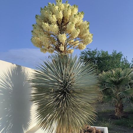 Cortijo Oro Verde B&B Табернас Екстер'єр фото